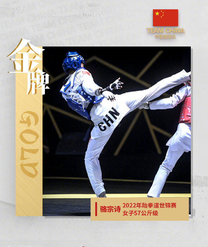 匈牙利队表现强劲，斩获个人赛冠军的简单介绍