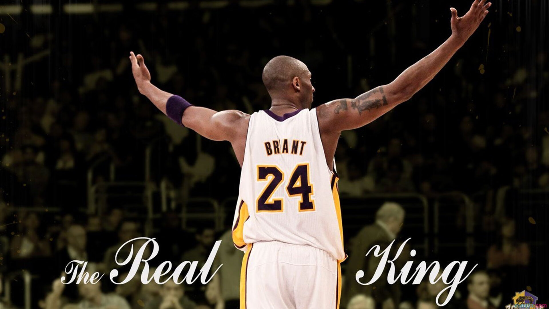 广厦单节风暴击溃雄鹿，杰伦·格林稳定输出成关键胜负手